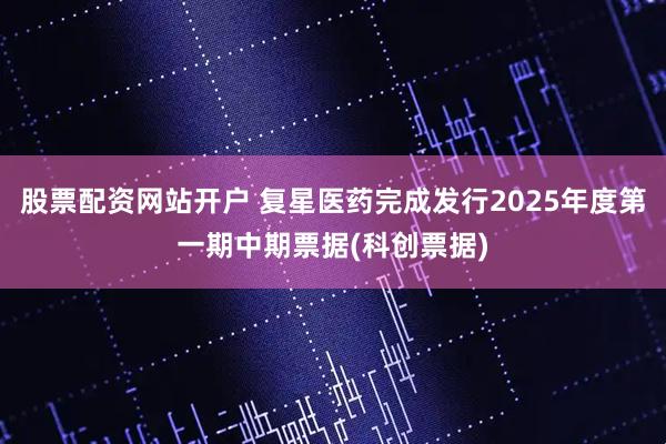 股票配资网站开户 复星医药完成发行2025年度第一期中期票据(科创票据)