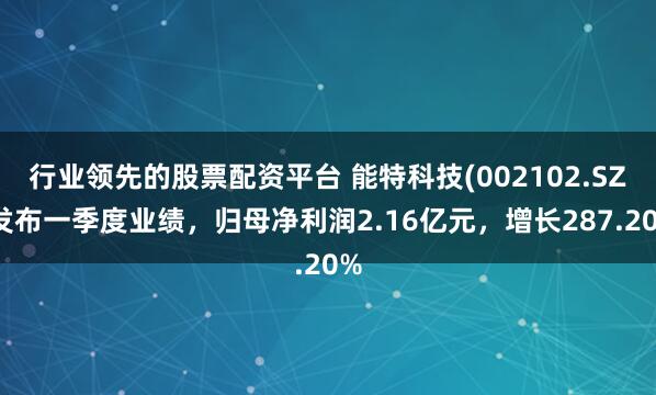 行业领先的股票配资平台 能特科技(002102.SZ)发布一季度业绩，归母净利润2.16亿元，增长287.20%